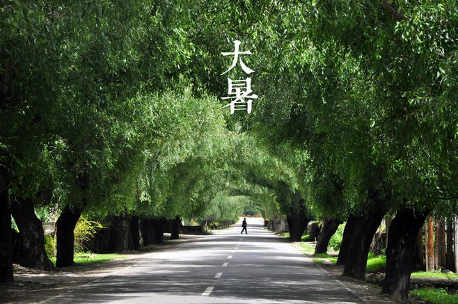 大暑丨葡園消煩暑，夢涼天地寬