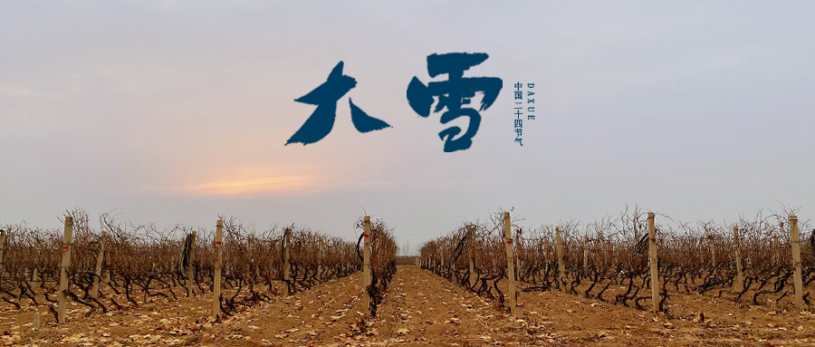 大雪 ▎世界留白，天地靜美